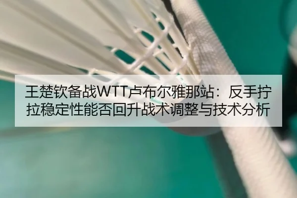 王楚钦备战WTT卢布尔雅那站：反手拧拉稳定性能否回升战术调整与技术分析